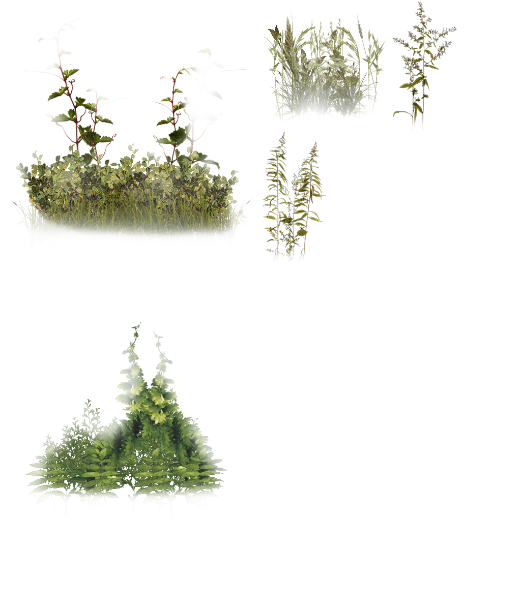 ../../_images/foliage.png